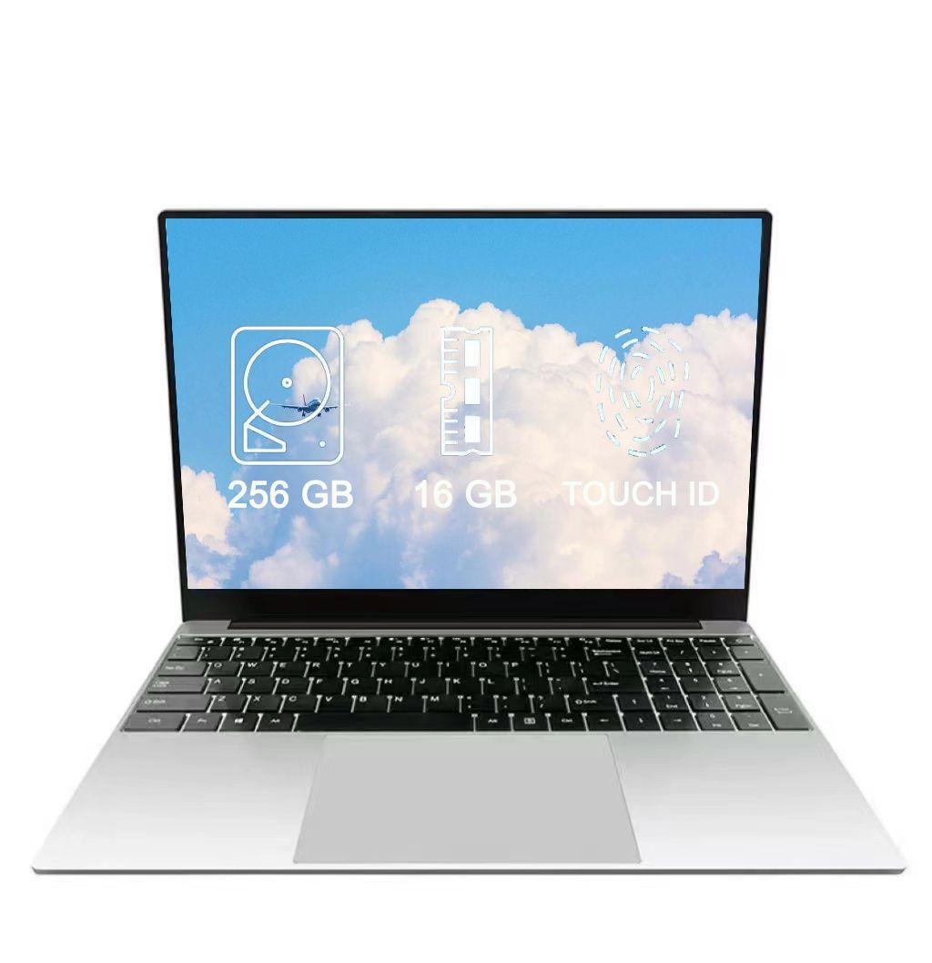 OLOEY ASVS Por X30 Игровой ноутбук 16.3", RAM 32 ГБ, SSD 256 ГБ, Intel HD Graphics 620, Windows Pro, серый, Русская раскладка