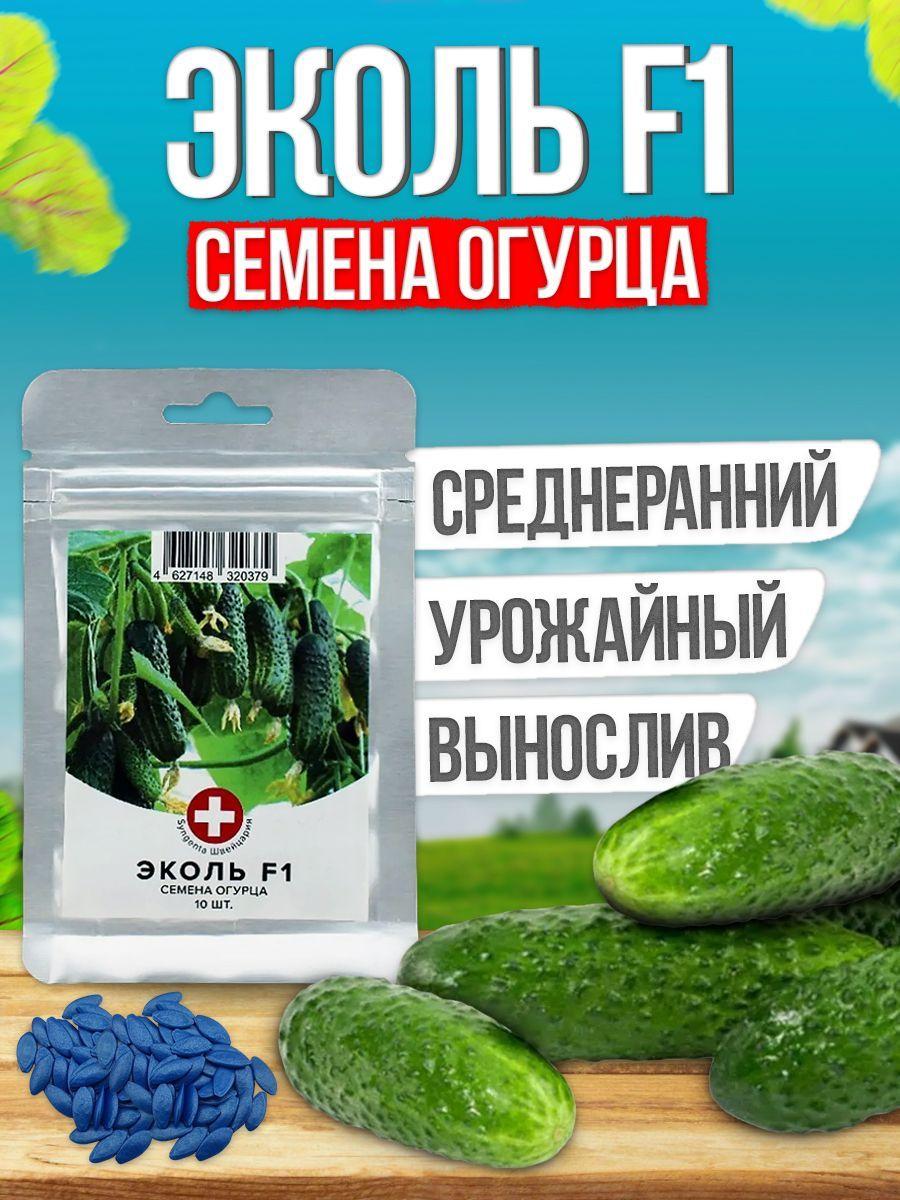 Эколь F1 семена огурца среднераннего, 10 шт. (Syngenta / ALEXAGRO). Высокоурожайный, партенокарпический гибрид для открытого грунта и плёночных теплиц