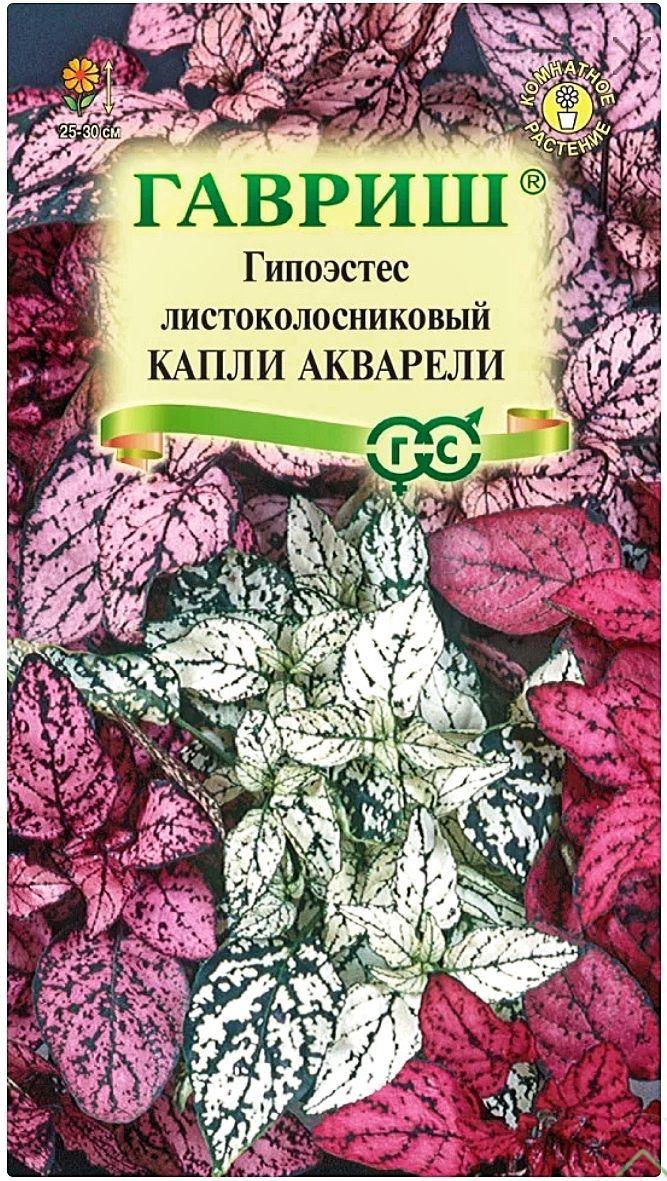 Гипоэстес Капли акварели, 1 пакет, семена 4 шт, Гавриш