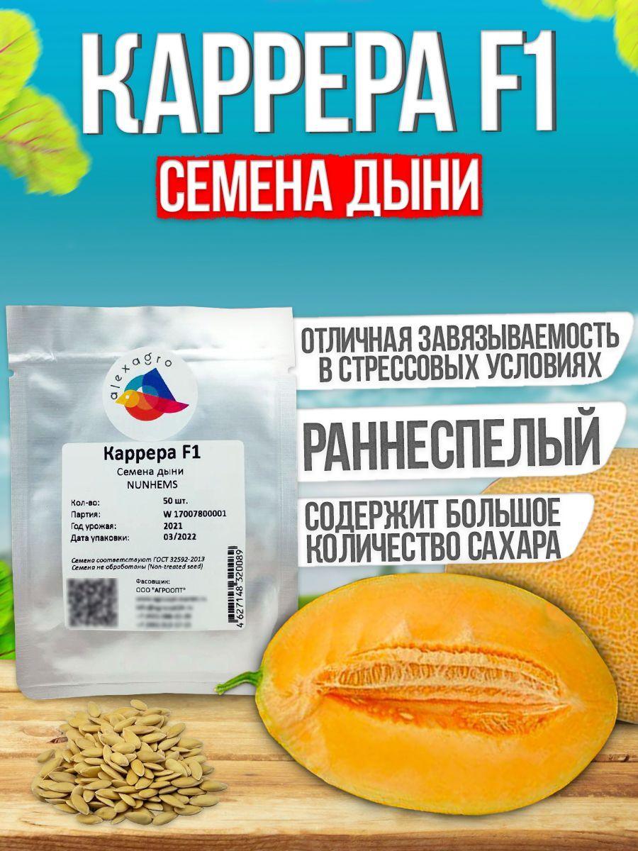 Каррера F1 семена дыни (Nunhems / ALEXAGRO) (50 шт.)