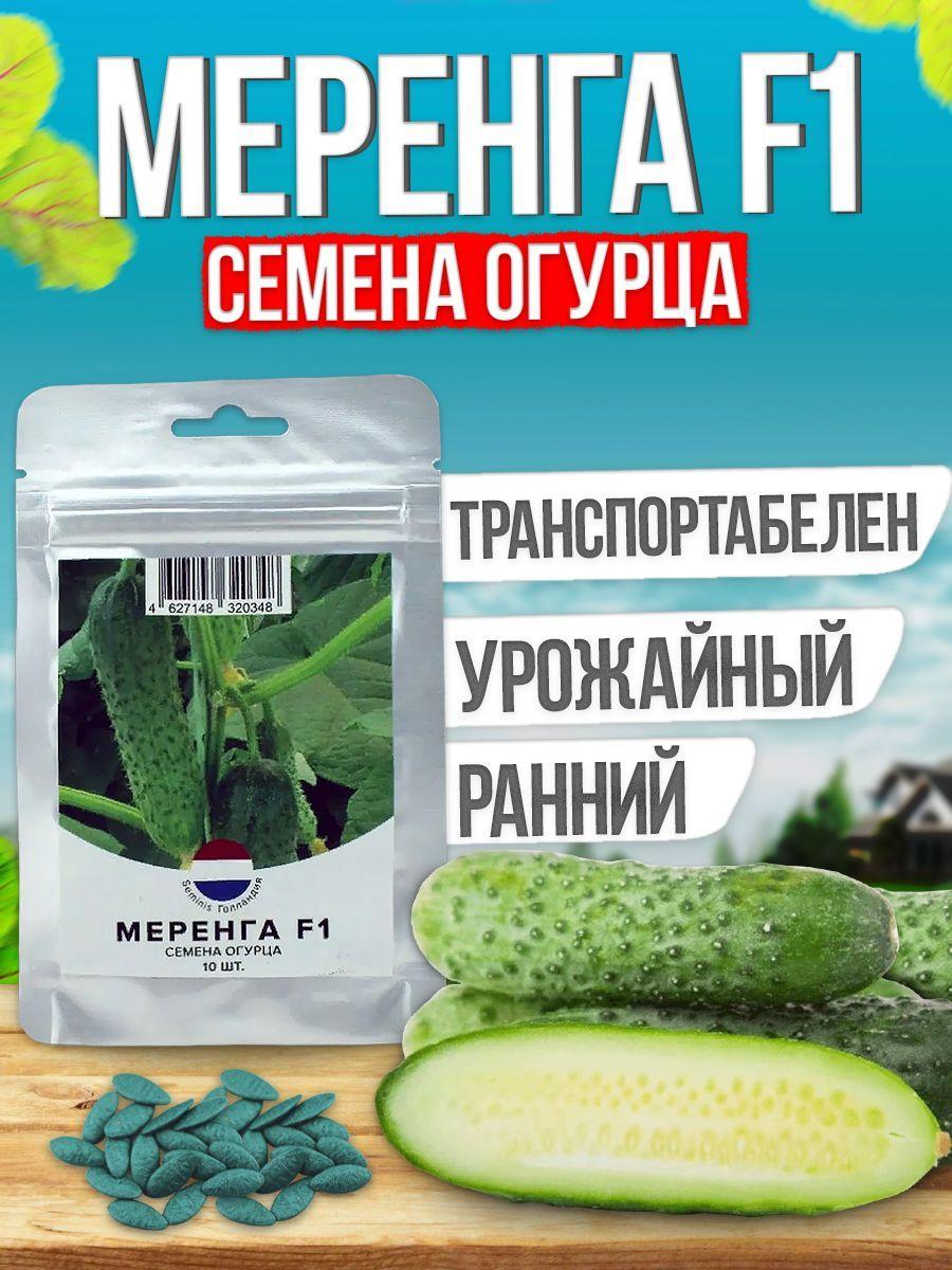 Меренга F1 семена огурца раннего, 10 шт. (Seminis / ALEXAGRO). Высокоурожайный, пчелоопыляемый гибрид для открытого грунта и плёночных теплиц