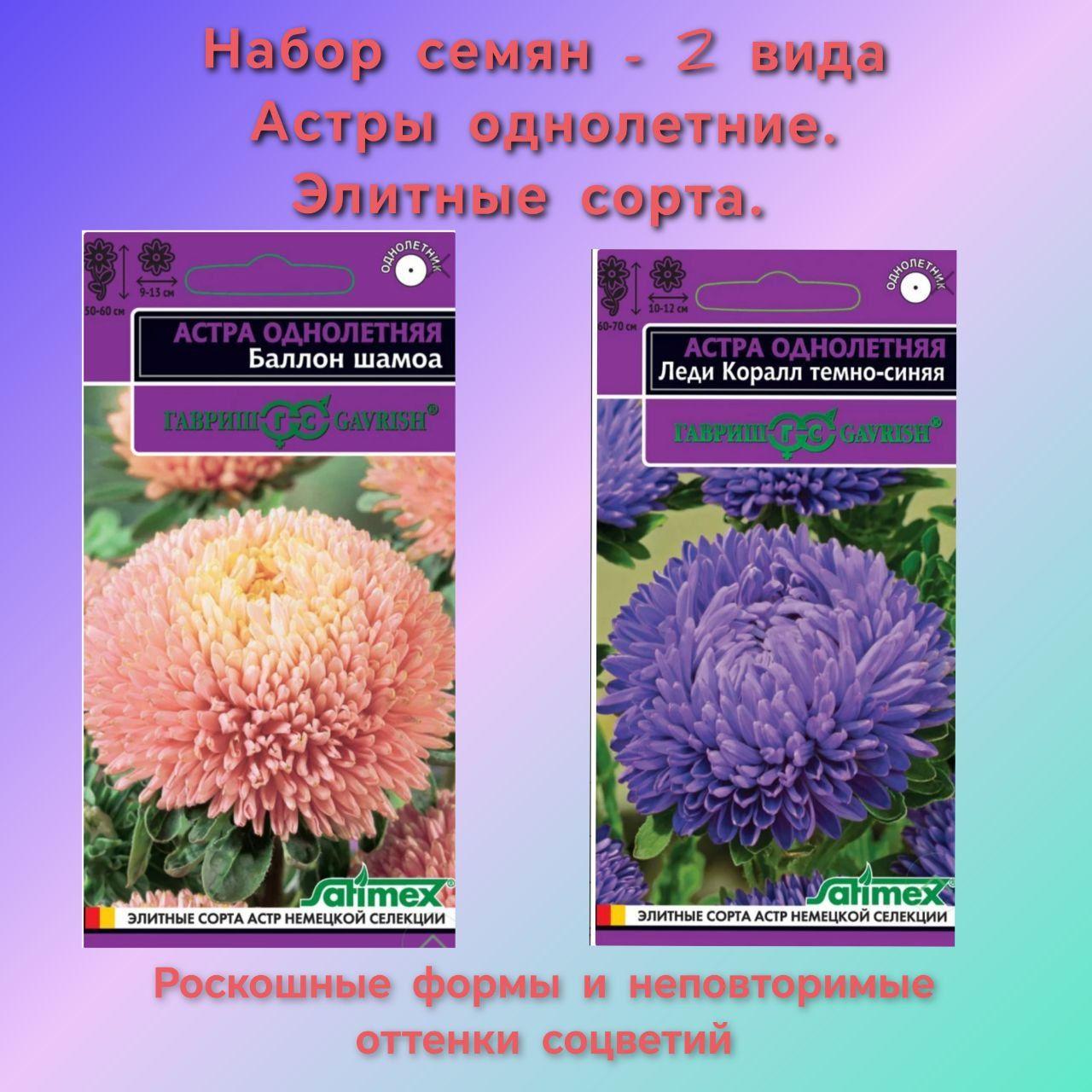 Семена цветов Астры однолетние 2 в1: Баллон Шамоа и Леди Коралл тёмно-синяя / Набор семян цветов