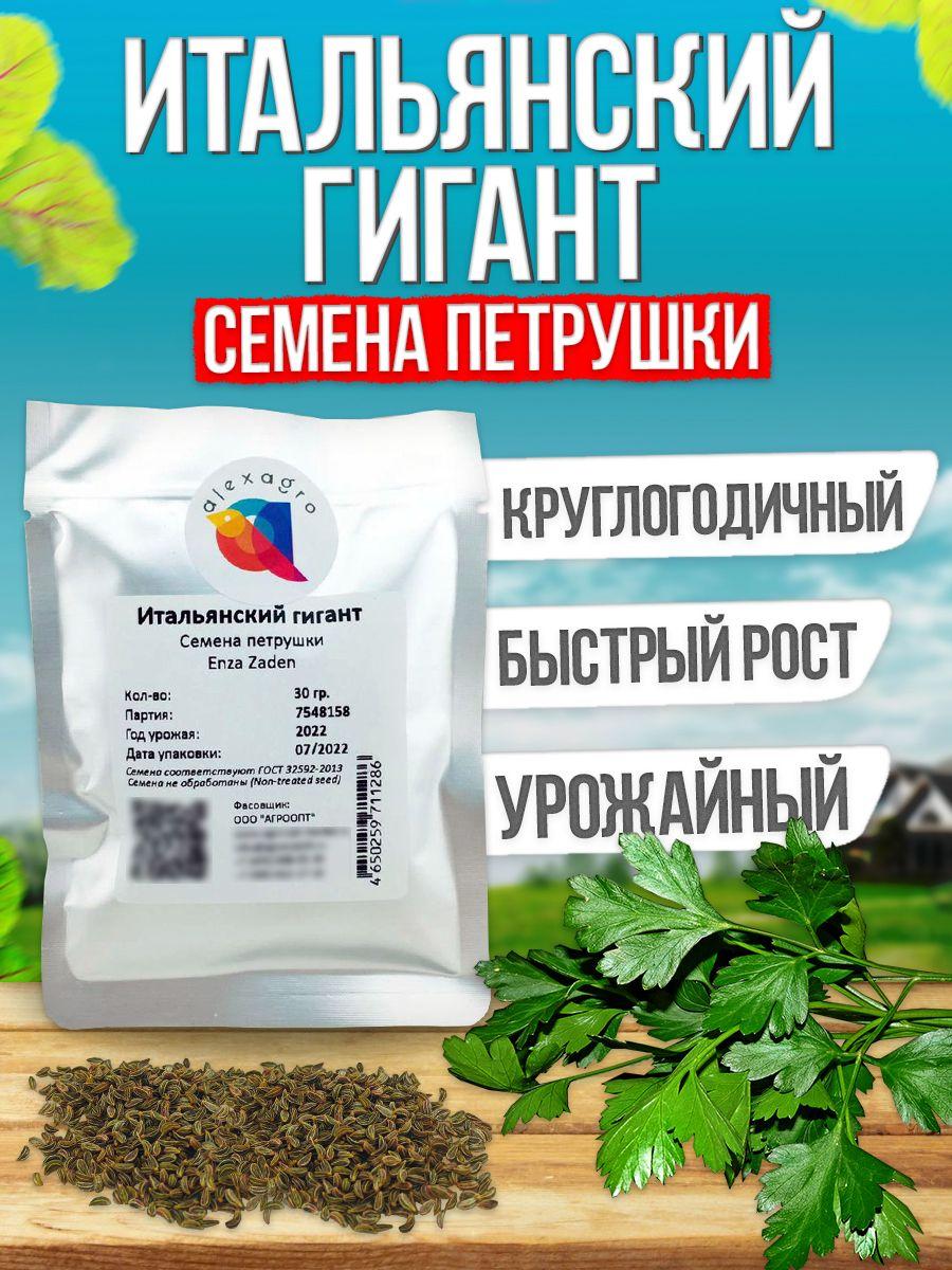 Итальянский гигант семена петрушки (Enza Zaden / ALEXAGRO) (30 гр.)