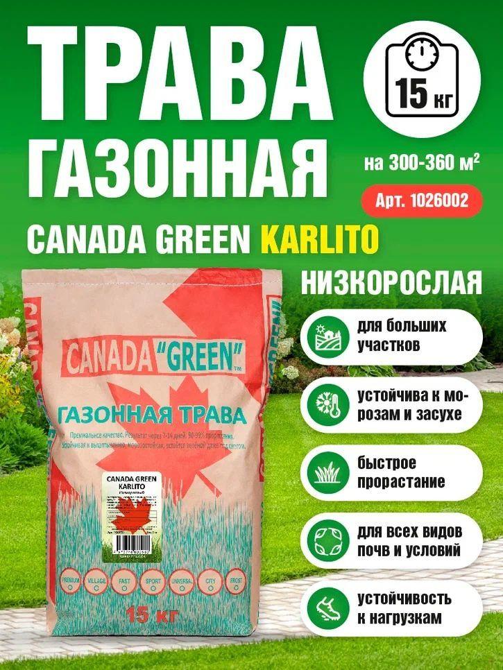 Газонная трава Канада Грин Низкорослая Карлито 15 кг / Canada Green Karlito 15кг / мятлик, овсяница