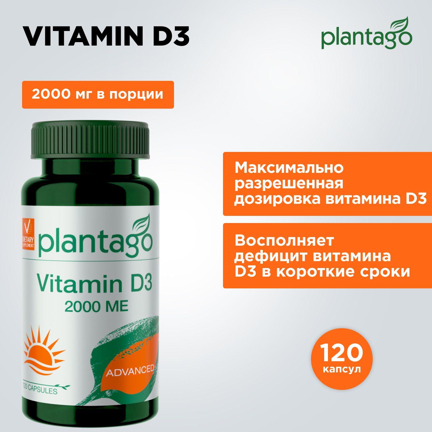 Plantago Vitamin D3 2000 me by PRIMEKRAFT / Витамин Д3, 120 капсул, БАД иммуномодулятор витаминный комплекс для иммунитета, метаболизма / Плантаго