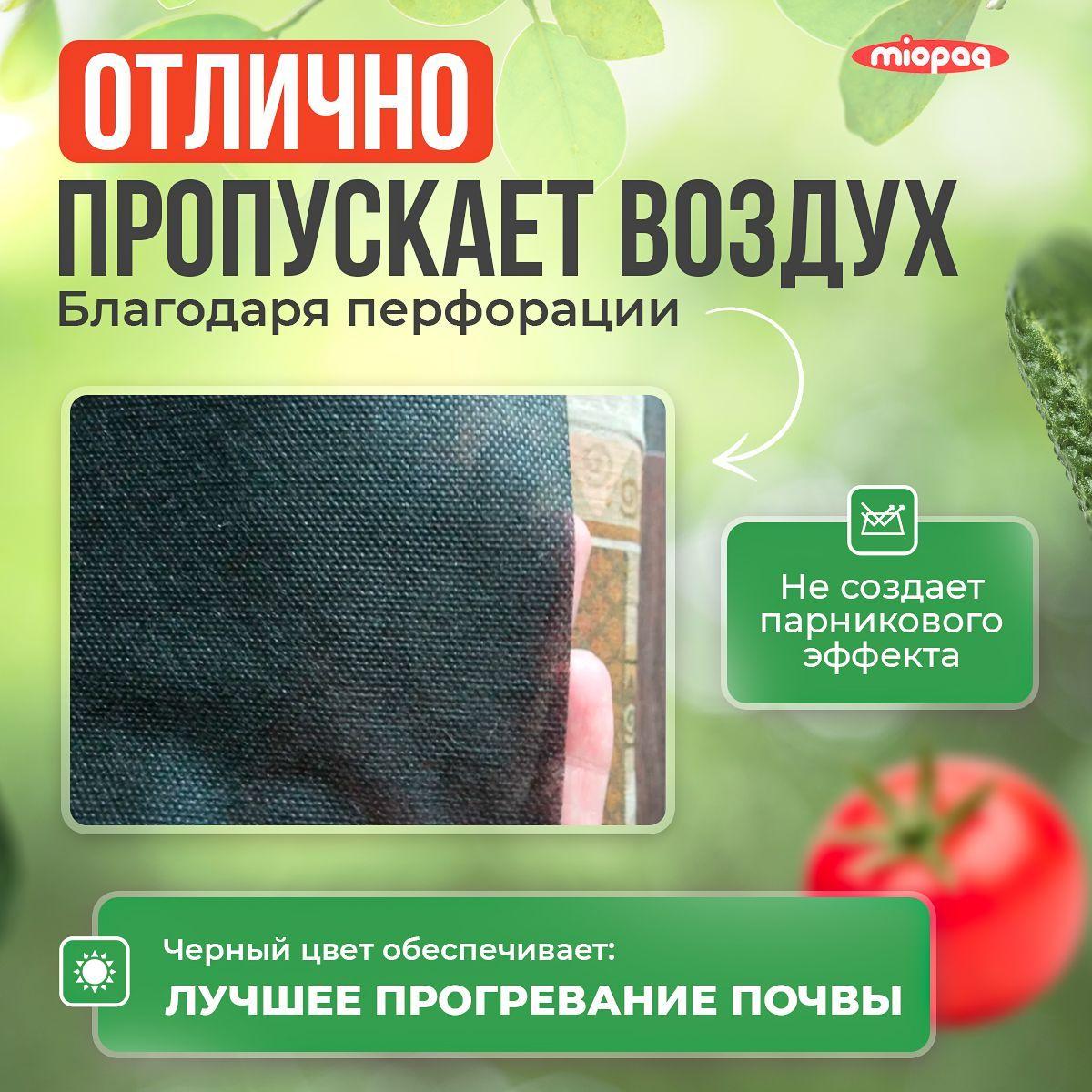 https://cdn1.ozone.ru/s3/multimedia-r/6618671091.jpg