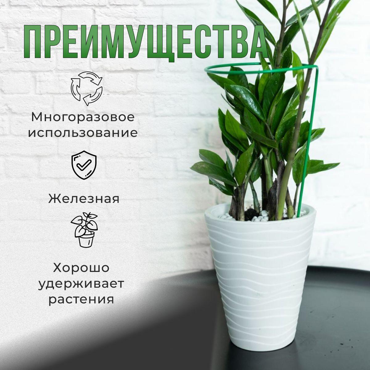 https://cdn1.ozone.ru/s3/multimedia-r/6823586583.jpg