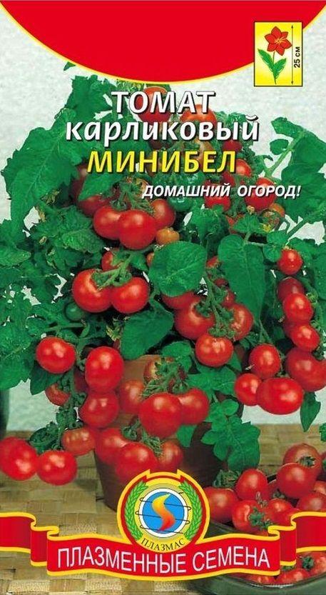 Томат карликовый Минибел (семена комнатных помидоров для выращивания на подоконнике), 15 шт семян