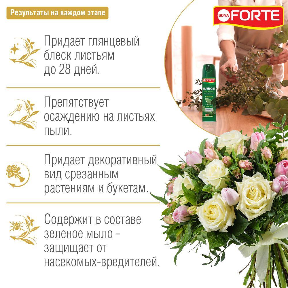 https://cdn1.ozone.ru/s3/multimedia-u/6501609378.jpg