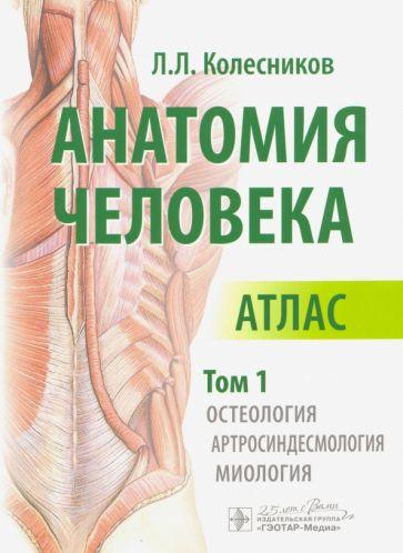 Лев Колесников: Анатомия человека. Атлас в 3-х томах. Том 1. Остеология, артросиндесмология, миология