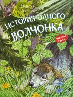 Валентин Пажетнов: История одного волчонка