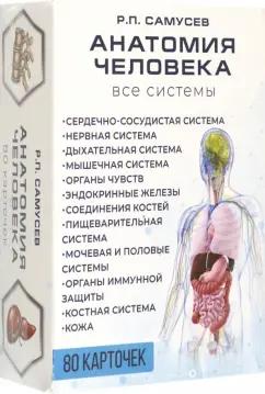 Рудольф Самусев: Анатомия человека. 80 карточек. Все системы