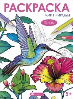 Книжка-раскраска Мир природы. Птицы