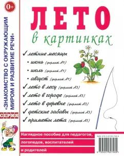 Лето в картинках. Наглядное пособие для педагогов, логопедов, воспитателей и родителей