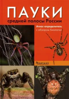 Сейфулина, Карцев: Пауки средней полосы России. Атлас - определитель с обзором биологии