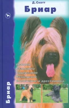 Дезире Скотт: Бриар. История. Стандарты. Содержание. Разведение. Воспитание и дрессировка