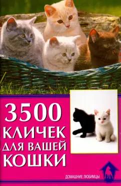 Светлана Гурьева: 3500 кличек для вашей кошки