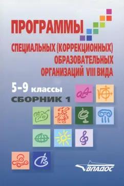 Воронкова, Перова, Эк: Программы специальных (коррекционных) образовательных учреждений VIII вида. 5-9 классы. Сборник 1