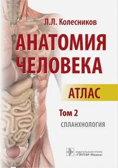 https://imo10.labirint.ru/books/621194/cover.jpg/242-0