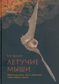 Сергей Крускоп: Летучие мыши. Происхождение, места обитания