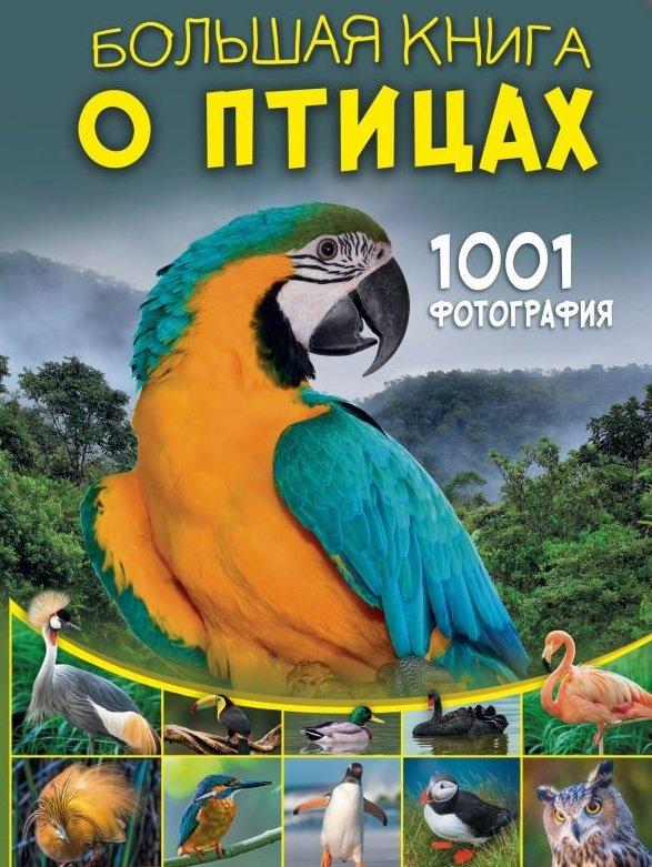 Большая книга о птицах. 1001 фотография