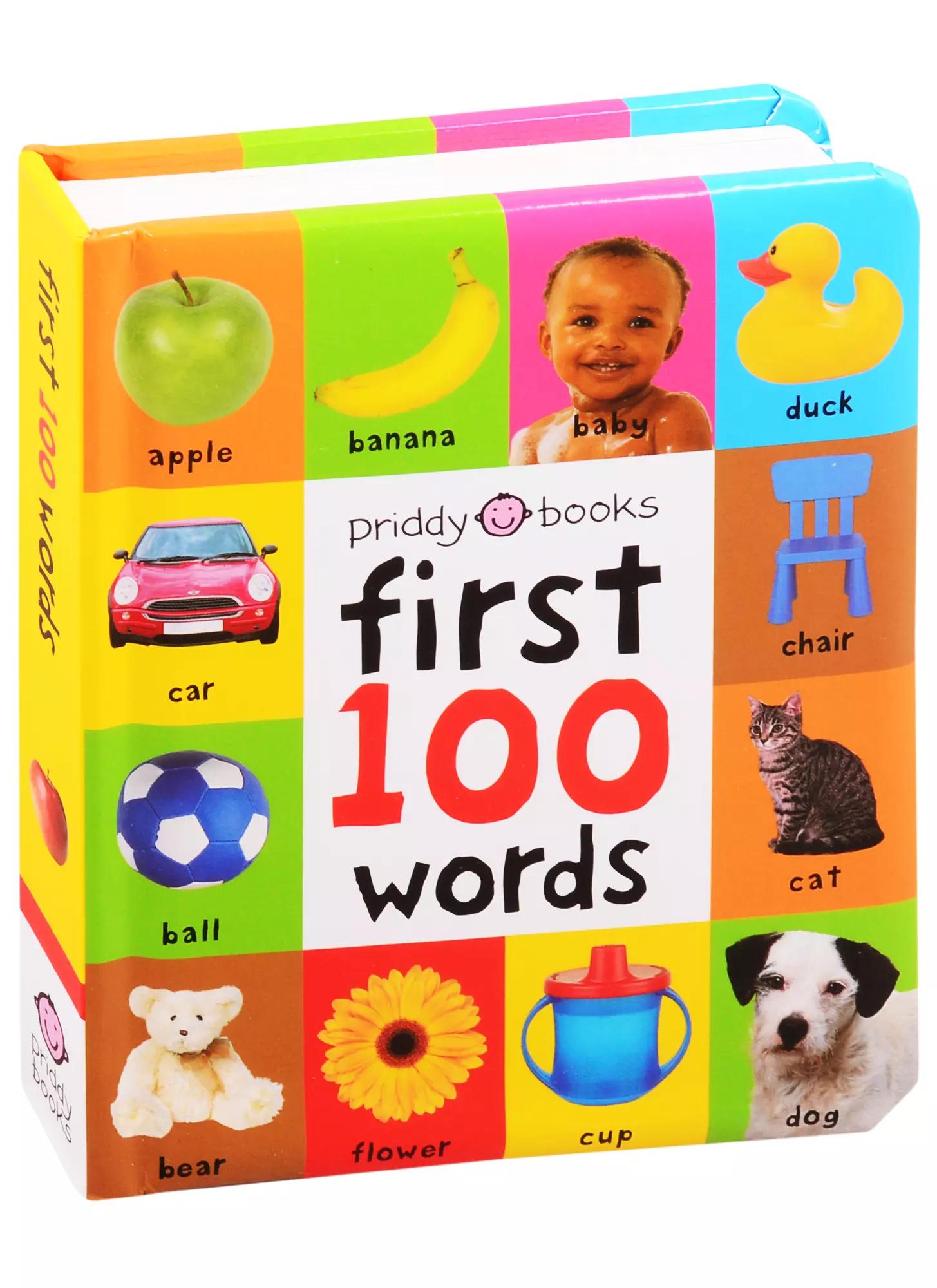 First 100 Words (soft to touch board book)