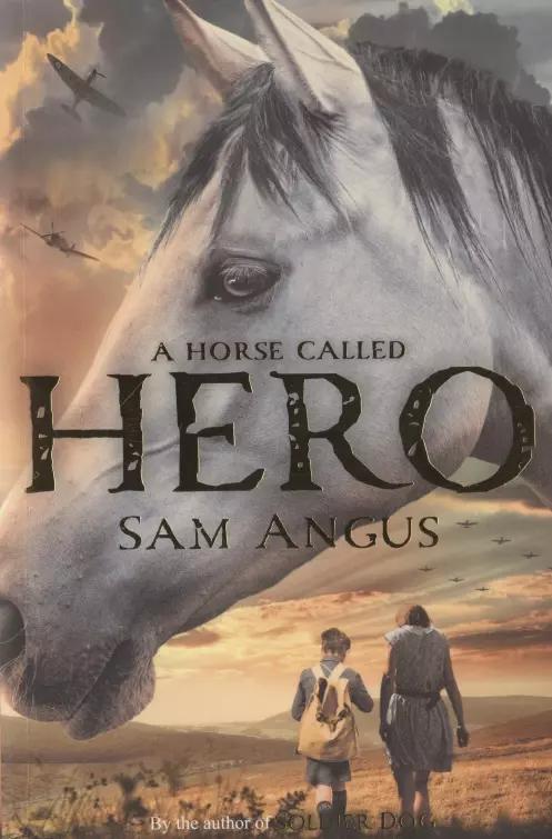 A Horse Called Hero