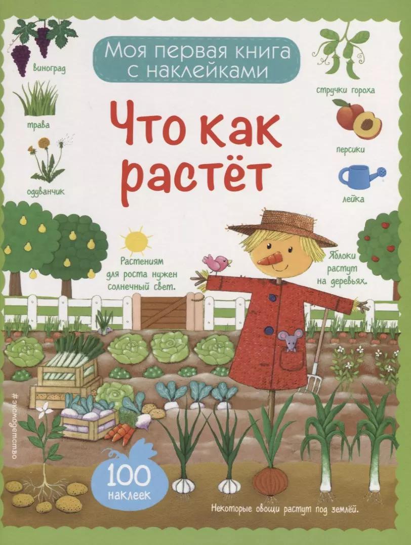 Что как растет (с наклейками)