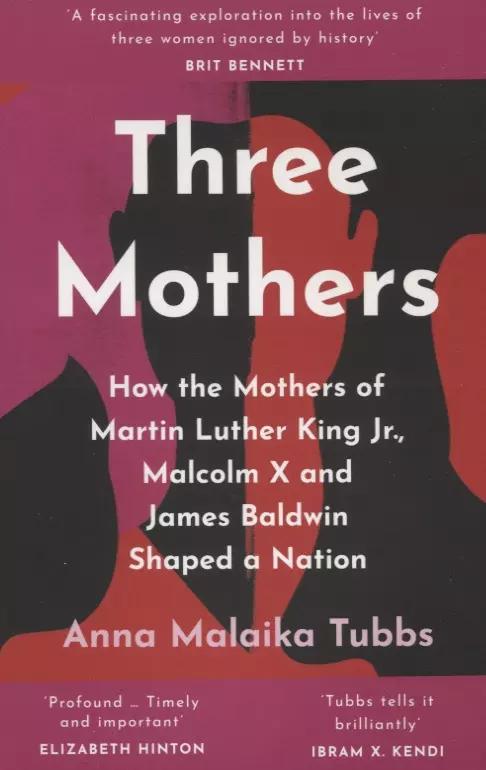 Three Mothers : How the Mothers of Martin Luther King Jr., Malcolm X and James Baldwin Shaped a Nation