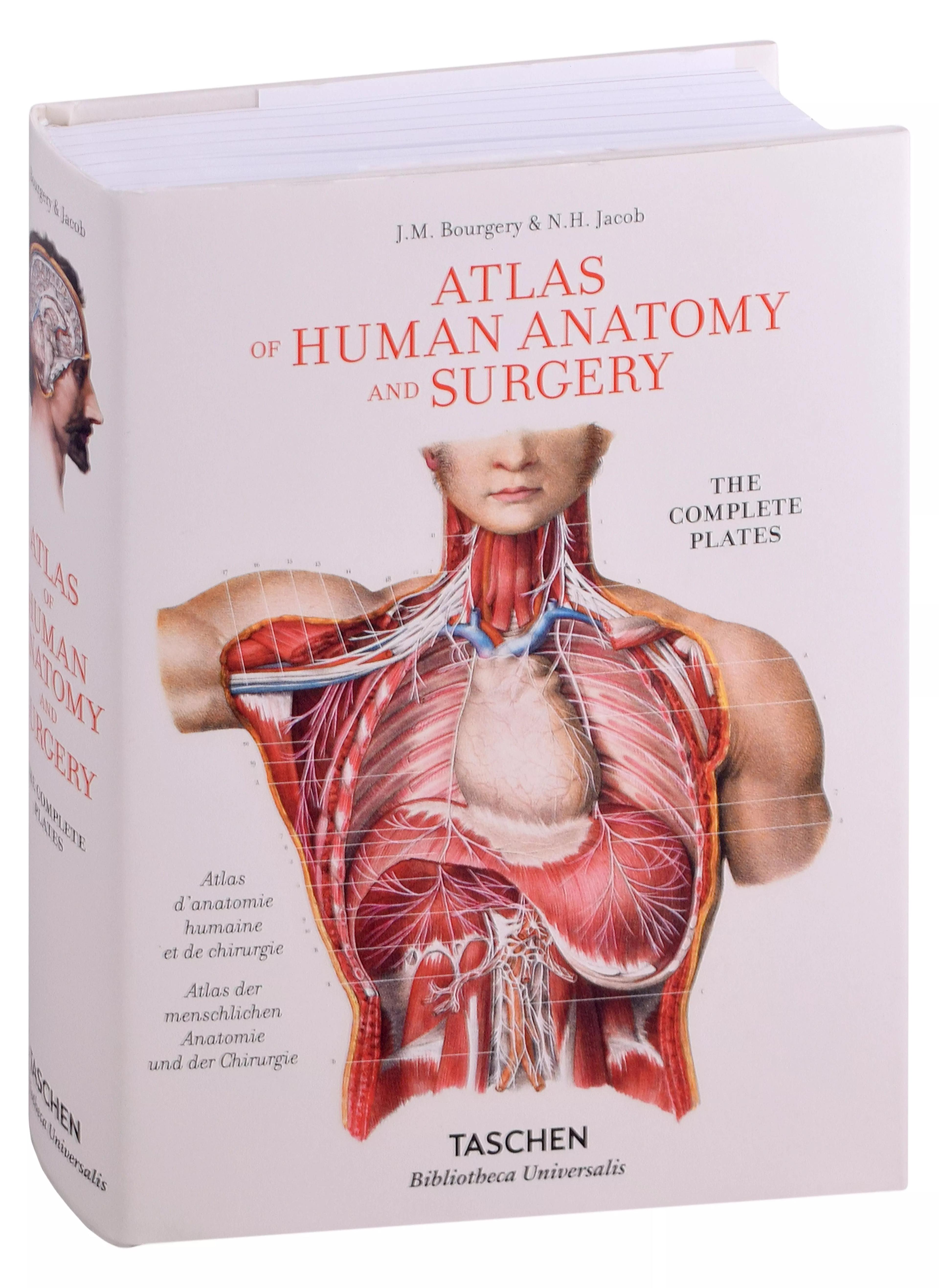 Taschen | Atlas of Human Anatomy and Surgery