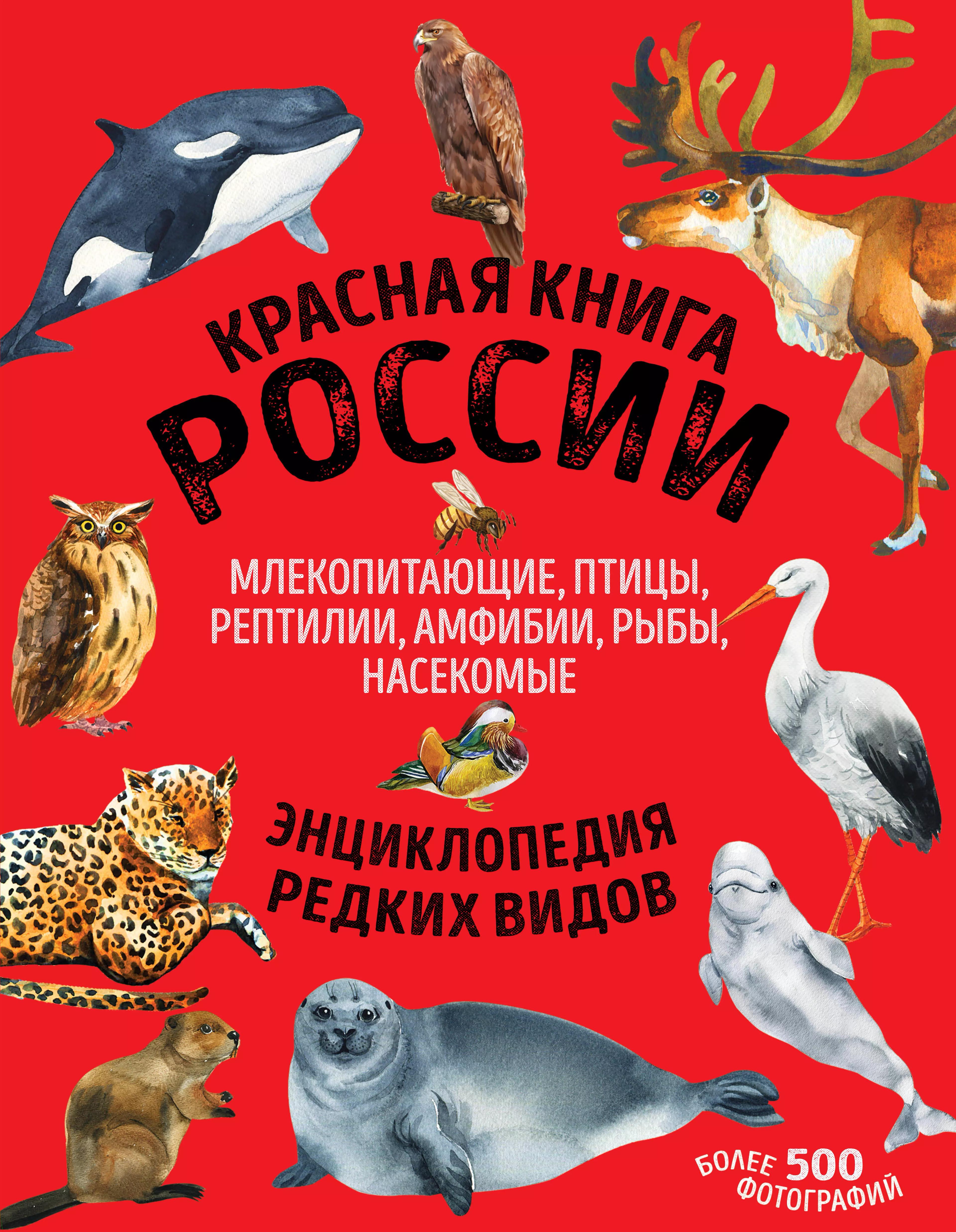 Красная книга России: животные, растения, птицы, насекомые. Энциклопедия редких видов