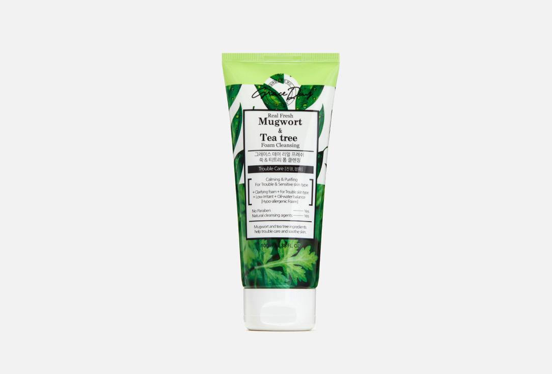 Real Fresh Mugwort & Tea Tree Foam Cleanser. 100 мл