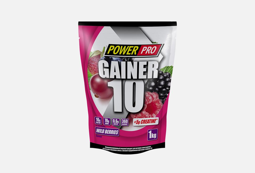 Power Pro | Gainer 10. 1000 г