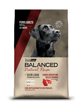 Vitalcan Balanced Dog Adult Natural Recipe сухой корм для взрослых собак с отборной Аргентинской говядиной