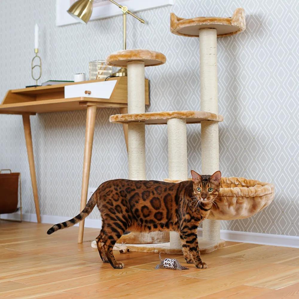 Petmax Спально-игровой комплекс для кошек с домиком и когтеточкой Gloria многоуровневый с лежаками и площадкой, бежевый, 60x40x116 см