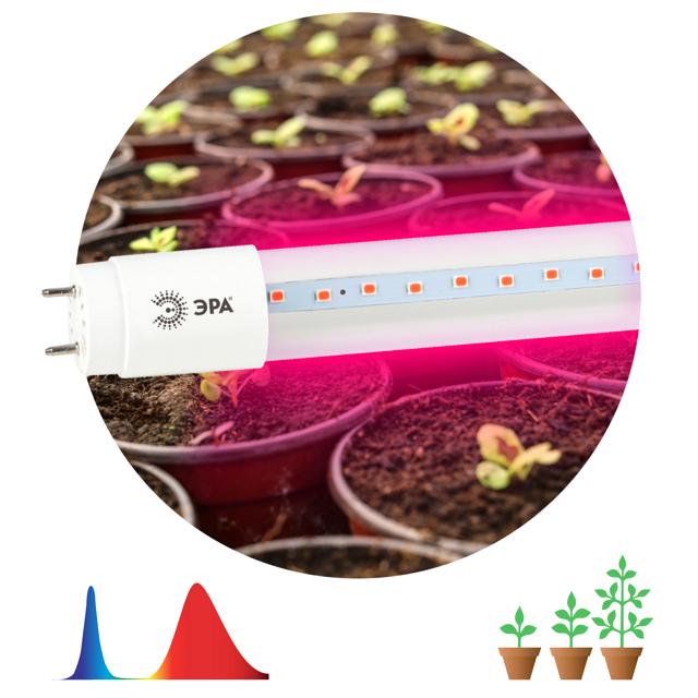 лампа светодиодная для растений ФИТО ЭРА 9Вт Т8 G13 600мм красно-синий спектр